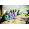 Rwanda Gitesi 250g (Kávu dodat jako zrnko)