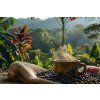 vyrp13 975brazilie kava bioma