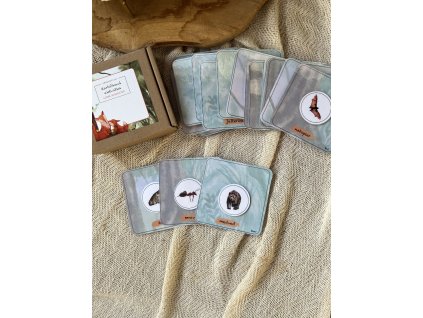 Kartičková aktivitka LESNÉ ZVIERATKÁ