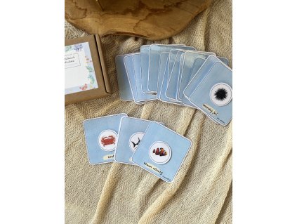 Kartičková aktivitka MORSKÉ ZVIERATKÁ