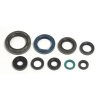 Sada gufer motoru Athena KTM SX-F 350 (11-15), EXC-F (12-16)