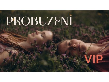 VIP vstupenka
