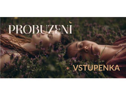 Jednodenní vstupenka