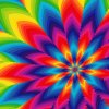 multicolor