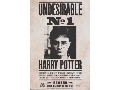 plakat harry potter undesirable n1 691594adbc040