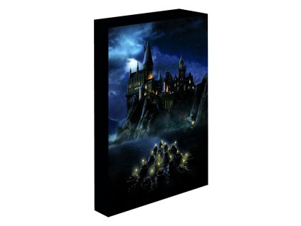 svitici obraz harry potter nocni bradavice 639a9a95ba167