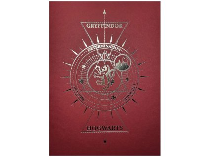 obraz harry potter nebelvir 66c6a88652559