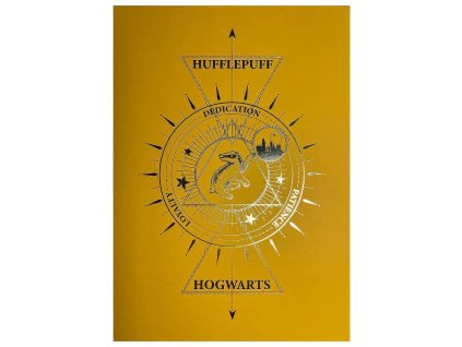 obraz harry potter mrzimor 66c6a8866fa3a