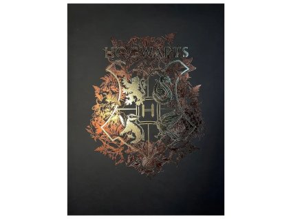 obraz harry potter znak bradavic 66c6a8868e858