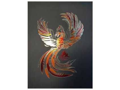 obraz harry potter fenixuv rad 66c6a88698a7d