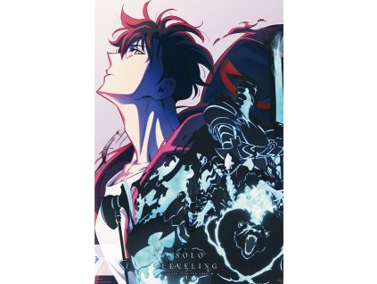 plakat solo leveling season 2 6819d4383529c