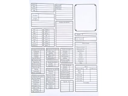 zaklinac hra na hrdiny denik postavy 682c80f0da19d