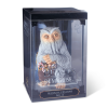 fantasticka zvirata magical creatures soska polovida 6a0d7999372df