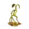 fantasticka zvirata magical creatures soska kuroleza 69c686cc00cbd