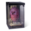 fantasticka zvirata magical creatures soska pastelnicka 69c528d6aee87