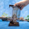 harry potter magical creatures soska prasivky 6a0c7b6acf994