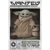 plakat star wars mandalorian wanted the child 5f3366e969285