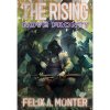 the rising nove fronty 68f8cd4073641