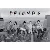 plakat friends skyscraper 60e8163f4ff91
