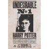 plakat harry potter undesirable n1 691594adbc040