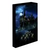 svitici obraz harry potter nocni bradavice 639a9a95ba167