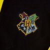 Tričko Harry Potter - Turnaj tří kouzelníků: Cedric Diggory - Velikost: S (Velikost S)