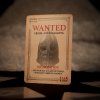 hraci karty the elder scrolls v skyrim 695dd918206e9
