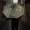 destnik harry potter rodina blacku 69bbcfe021780