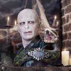 busta lord voldemort 64795a07d0768
