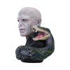 busta lord voldemort 64795a07c52fe