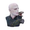 busta lord voldemort 64795a07b98af