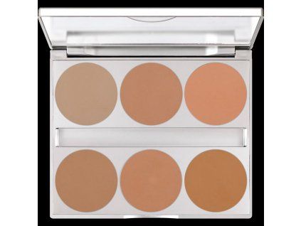 Dual Finish Palette 6 Colors