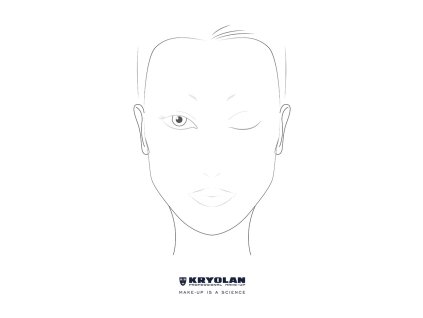 Professional Make-up Charts English