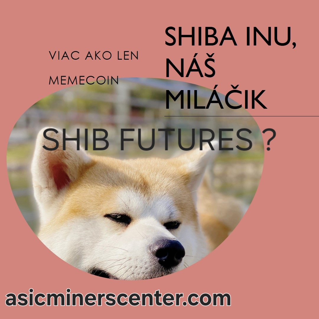 Aká bude cena Shiba Inu, ak CME spustí SHIB Futures.