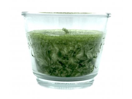 Snímek obrazovky 2023 09 08 v 15.49.00