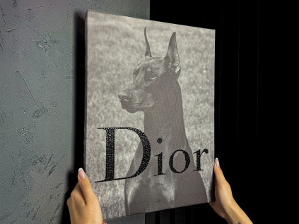 dior dog produktovka