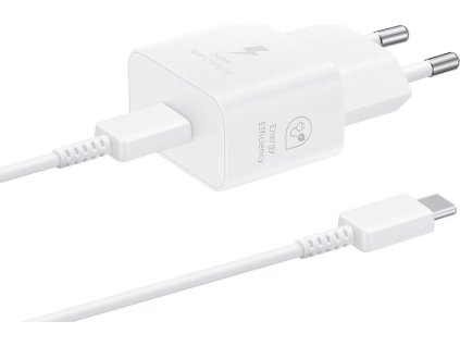 EP-T2510EWE + EP-DN980BWE Samsung USB-C 25W Cestovní nabíječka + USB-C Datový Kabel White (OOB Bulk)