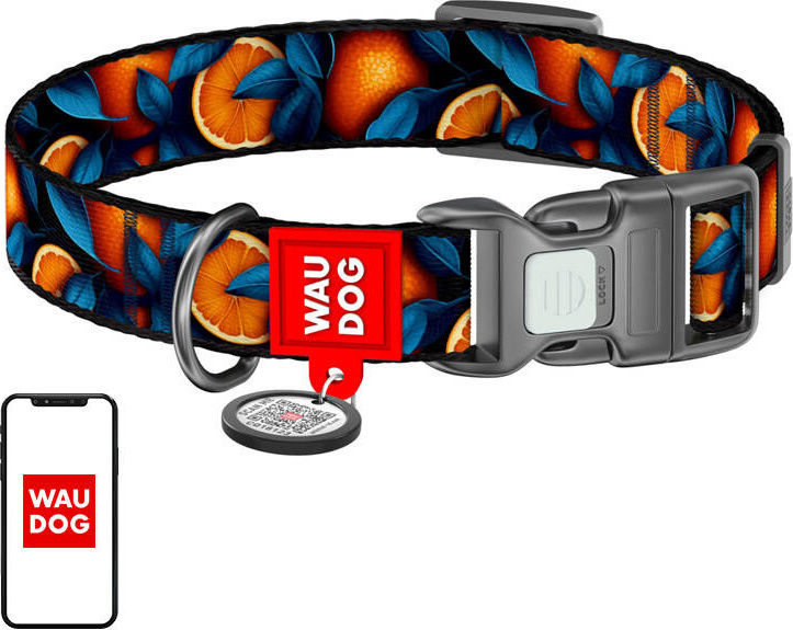 Waudog "Oranges" nylonový obojek pro psy s QR kódem, velikost L