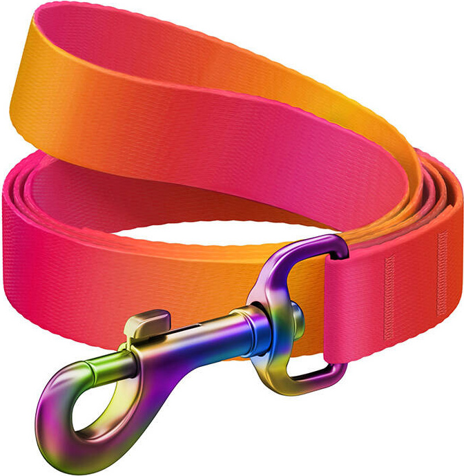 Nylonové vodítko pro psy WAUDOG, délka 122 cm, oranžové