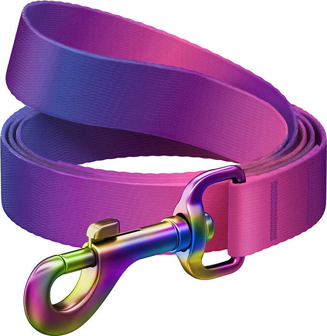 WAUDOG gradientní nylonové vodítko na psa, délka 122cm, fialové