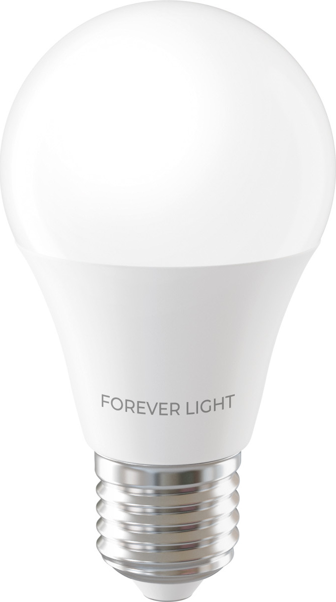LED žárovka Forever Light E27 A55 4W 480lm 6000K třída E