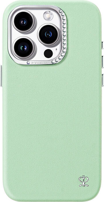 Joyroom PN-15F1 Hvězdné pouzdro pro iPhone 15 Pro Max (zelené)