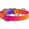 Nylonový obojek pro psa s QR kódem WAUDOG 15 mm široký, 25-35 cm dlouhý oranžový