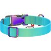 Nylonový obojek pro psa s QR kódem WAUDOG 15 mm široký, 25-35 cm dlouhý modrý