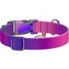 Nylonový obojek pro psa s QR kódem WAUDOG 15 mm široký, 25-35 cm dlouhý fialový
