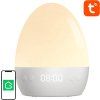 WiFi RGBW 16M Gosund LB2S Tuya smart night light