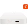 Multiprotokolová brána Avatto GW02 Zigbee 3.0 & BLE & Sig Mesh
