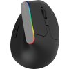 Bezdrôtová vertikálna myš Delux M618C 2,4G 1600DPI RGB (Čierna)
