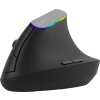 Bezdrôtová vertikálna myš Delux M618C 2,4G 1600DPI RGB (Čierna)