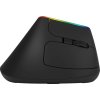 Bezdrôtová vertikálna myš Delux M618C 2,4G 1600DPI RGB (Čierna)